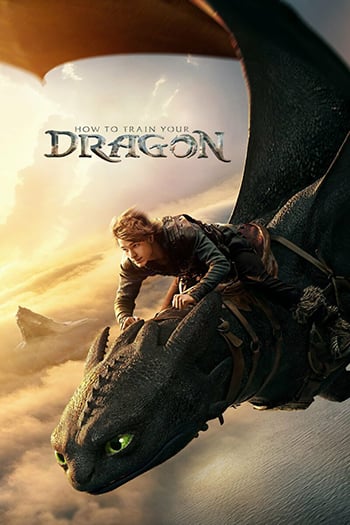 How to train a Dragon